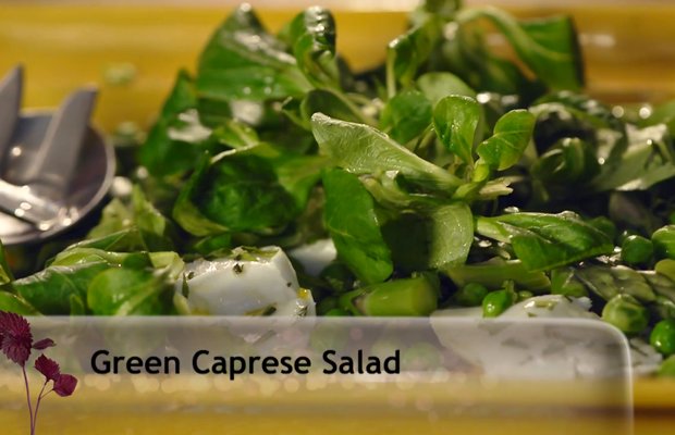 102 Fresh Dairy