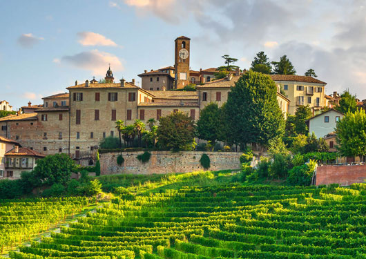 Culinary Tour to Piedmont, Italy