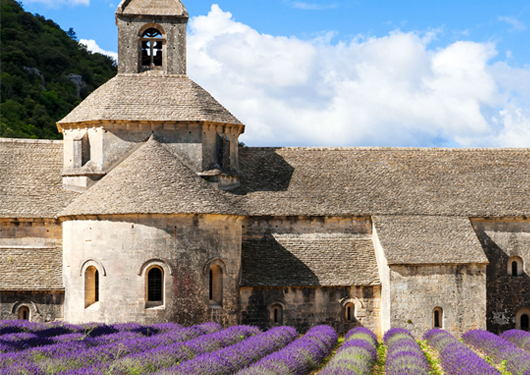 Culinary Tour to Provence France