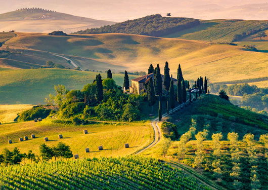 Culinary Tour to Tuscany, Italy
