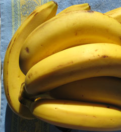 Black Bottom Banana Cream Pie