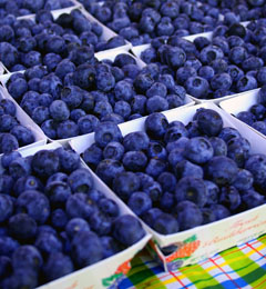 Blueberry Upside-Down Cake