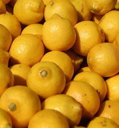 Lemon-Lime Cheesecake