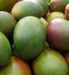Mango and Pink Grapefruit Sorbet