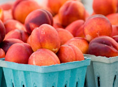 Nectarine and Cherry Bread Pudding