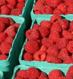 Grilled Polenta Pound Cake with Summer Berry Compote