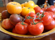 Cheddar-Crusted Tomato and Corn Tart