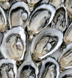 Mom's Scalloped Oysters