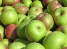 Crown Roast of Pork with Baked Apples