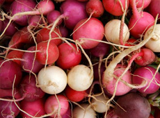 Moroccan Carrot, Orange and Radish Salad