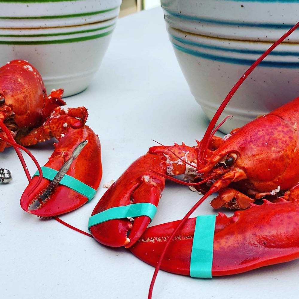 Lobster Chowder