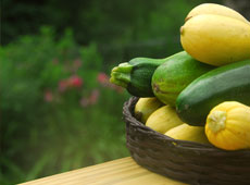 Zucchini, Basil and Chickpea Soup